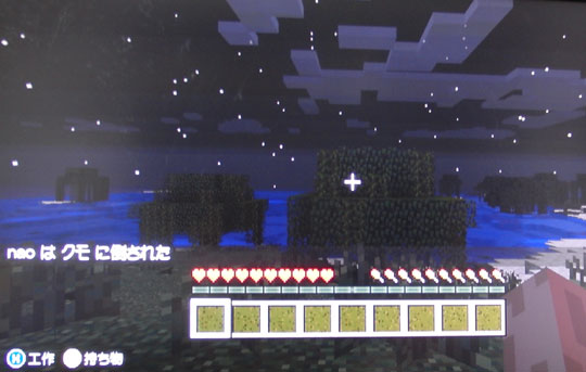 Minecraft