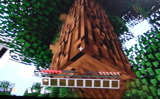 Minecraft