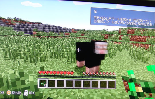 Minecraft